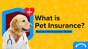 Pet Insurance: The Ultimate Guide for Loving Pet Parents in 2025